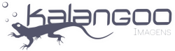 logo_kalangoo